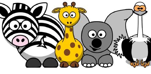 Safari