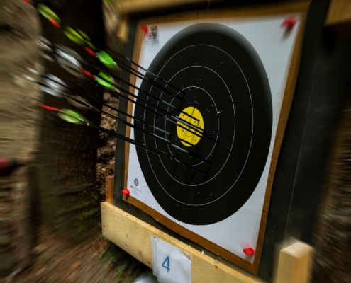 Artemis glänzt bei der ÖSTM WA Feld 2025.